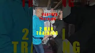 2 Man/Partner Training Mantis Kung Fu #kungfutraining #martialarts #prayingmantiskungfu #2man