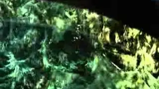 Honda Civic Add 2 min10