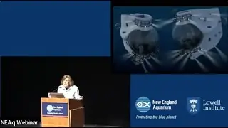Why We Should All Care About the Weird, Wild, and Wonderful Depths of the Sea with Sylvia Earle