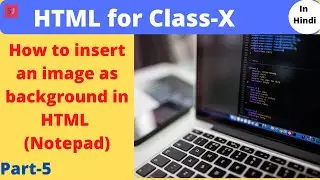 How to insert background in HTML by using notepad |CBSE Class 10 -by Sapna