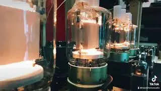 Ampli đ&egrave;n GU81