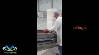 RAISIN FACTORY PROCESSING LINE LAST TECHNOLOGY , RAISIN FACILITY ( RAISIN ALL PROCESS )