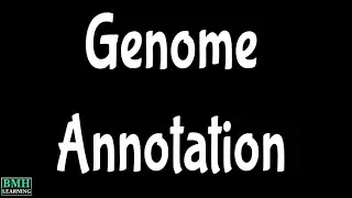 Genome Annotation