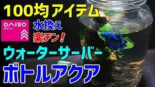 ウォーターサーバー【ボトルアクアリウム】作り方 水換え超簡単！ダイソーアイテムでベタ・メダカ用ボトルアクアリウム作成～How to make a bottle aquarium～
