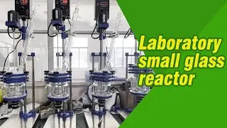 Laboratory small glass reactor for low price  #Shorts