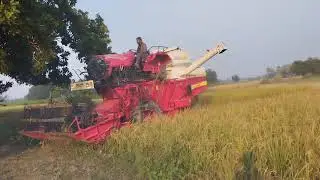 Balkar tractor mounted mini combine harvester se dhan ki cutting @balkarindia #balkarcombine