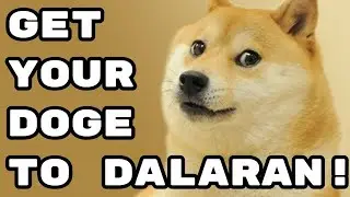 Get Your Doge to Dalaran! - World of Warcraft