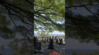免费海景墓园（2） #cemetery #free #oceanview #hilo #hawaii