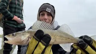 Another Day Another Fish! NSR Fishing 2025