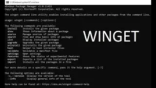 How To Get 'winget' In Win 10 21H1 | Get Pre Release Package