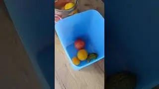 Контейнер Кубикс 1,8л Tupperware (Тапервер)
