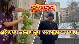 নভেম্বর মাসে প্রথম তুষারপাত অনেক বছর পর || কেন এই সময় এদেশে প্রচুর মানুষ অবসাদগ্রস্থ হয়ে পরে ?