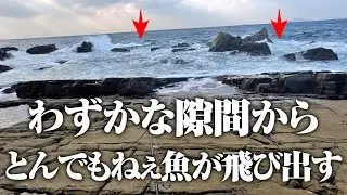 スペシャルゲスト参戦！&ldquo;あの人&rdquo;と荒磯の王者を探す旅に行ってきました。