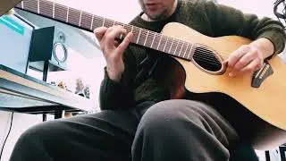 Gabriele Pala plays the 8-String Acoustic Guitar #agileguitars #rondomusic #eightstringguitar