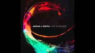 LIFE IN COLOUR - UNDER THE BLUE LIGHT