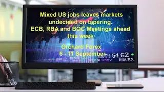 Weekly Forex Forecast(6/9 Sept); Soft NFP to delay tapering? US$/majors, Stocks, Gold, Silver, Oil