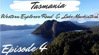 Tasmania Road Trip / Lake Mackintosh / Western Explorer Road - Aussie Road Trip Family