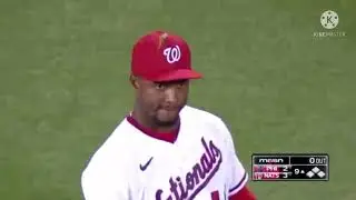 Praying Mantis and kitty take center stage in Nationals and Yankees games 😂