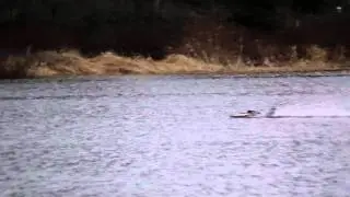 1/10th scale Degree hydroplane