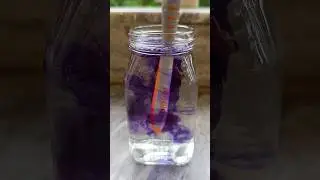 Bleach VS Ujala Experiment #shorts