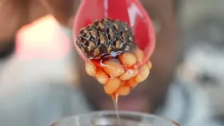 Pine Cone Jam | No Way It's Good!!?