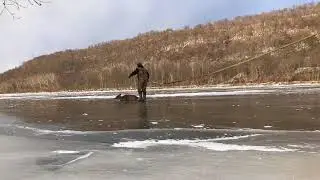 Hunters Step Out Onto A Frozen Lake To Save A Deer Trapped In The Ice