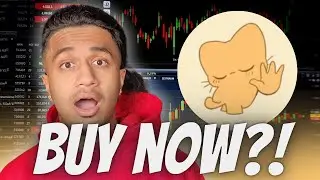 $WAIT IS THE NEW 100X GEM!! NEW TIKTOK MEMECOIN META!! (THEY DONT LIKE YOU LIKE I LOVE YOU)