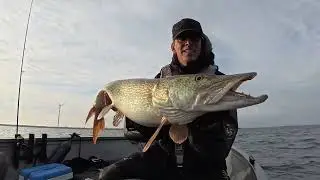 Monster Pike from the Volkerak &mdash; One Hit, Full-On Battle