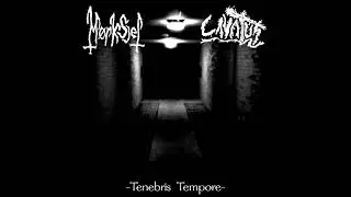 Mork Sjel - Cold Wind [Black Metal, Dark Ambient]