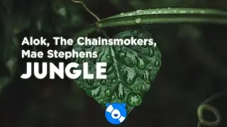 Alok, The Chainsmokers, Mae Stephens - Jungle (Lyrics)