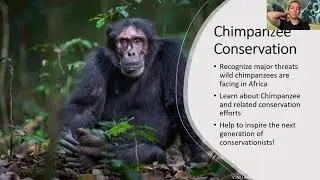 Chimpanzee Conservation - Lesson Plan