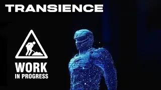 Transience