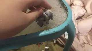 Bella Salutes: LPSAWOO