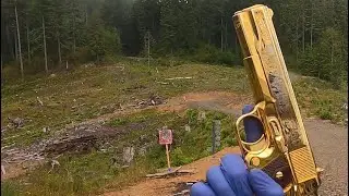 Gold 1911 (Colt Commemorative Founding Fathers Edition)