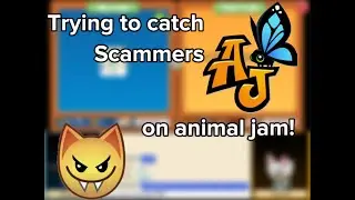 Trying to catch animal jam scammers!\\my first full video!\\