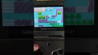 Pokemon Emerald: Catching Shiny Shuckle (Rock Smash)