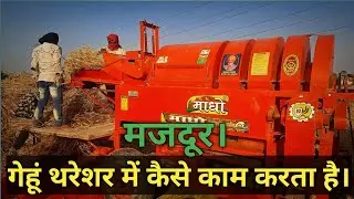 Thresher | Gehu Thresher | Madho Thresher | wheat Thresher Mashin | how wheat is extracted ||