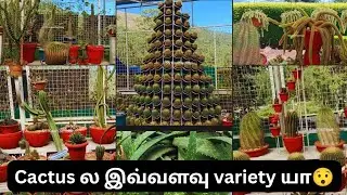 South Indias Biggest Cactus Garden-ah சுற்றிப் பார்க்கலாமா!!!||Munnar trip||travel with Us 