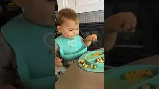 Reevie eating lunch 6/3/24