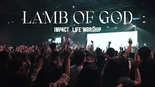 Lamb of God (Live) - Impact Life Worship