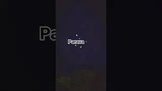 Night parava flying🌖🌧️ #parava #night #pigeon #sorts #song #trending