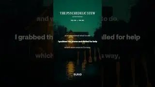 Southern Country Rock THE PSYCHEDELIC STEW