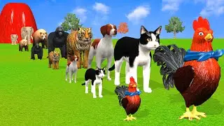 Long Slide Game with Cow Elephant Gorilla Hippopotamus Tiger 3d Animal Game Funny 3d Animals