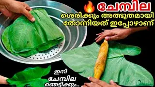 ചേമ്പില വീട്ടിലുണ്ടായിട്ടുംഇതുപോലെ ചെയ്തുനോക്കാൻ വൈകിപോയല്ലോ ഇനി ചേമ്പിലകളയില്ല|Colocasia LeafRecipe