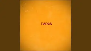 IWNS