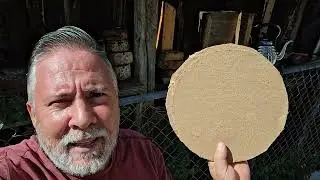 LAS PATAS DE LOS PICHONES DE PALOMAS.EL PICH&Oacute;N Y LA ENFERMEDAD.ERRORES EN LA COLOMBICULTURA.📽🔎🕊🕊🕊✊️🤨