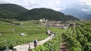 RANDONNER.CH Randonn&eacute;es et saveurs: vignoble et Caveau du Clo&icirc;tre &agrave; Aigle VD