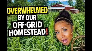 Selling Our House While Building an Off-Grid Homestead | The Hard Part No One Talks About