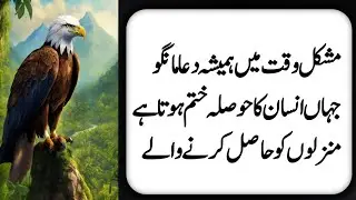jahan insan ka huslah khatam hota hai islamic  quotes moral storys motivatinol quotes in urdu