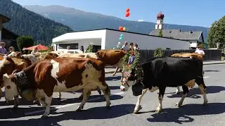 チロルの牛追い祭り、Almabtrieb Jerzens 2023